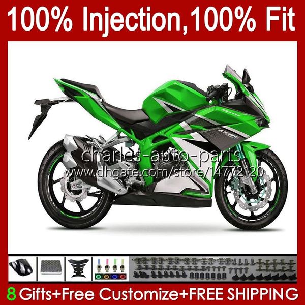 Corpo OEM para Honda Verde Branco CBR 250R CBR250 250 R CC 11-15 Kit 58NO.107 MC41 CBR-250 CBR250R 250cc 2011 2012 2013 2014 2015 CBR-250R 11 12 13 14 15 Feeding de Molde de Injeção