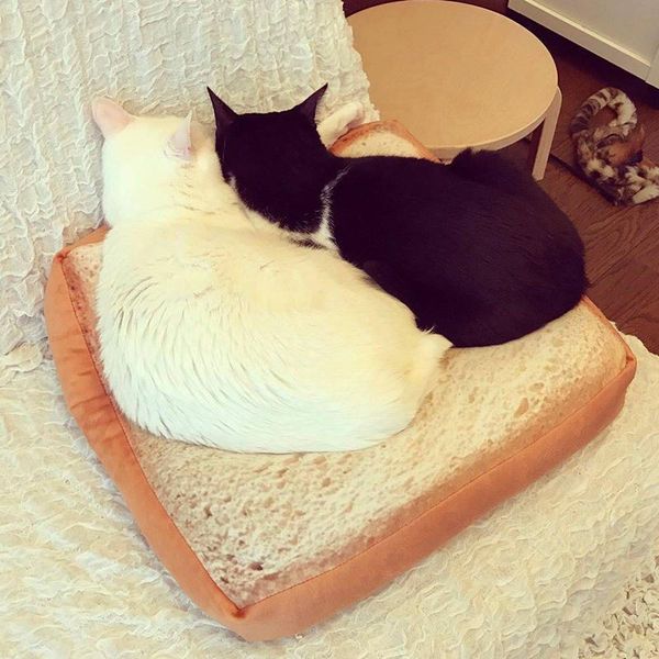 

cat bed removable design dog kennel pet toast bread mats soft rug cushion wash detachable sofa small beds & furniture