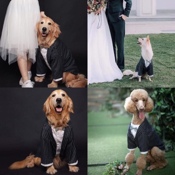 

dog apparel dog suit dress big dog golden husky autumn samoye thin summer