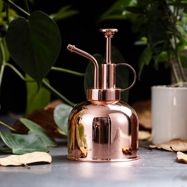 

watering equipments plants can nordic style stainless steel 300ml bottle vintage water kettle for garden flowers