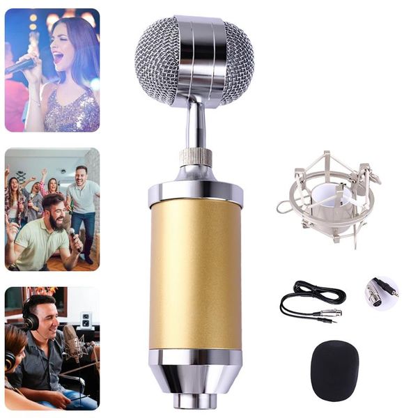 

microphones professional condenser microphone portable mini k song karaoke mic kit for mobile computer recording network youtuber video live