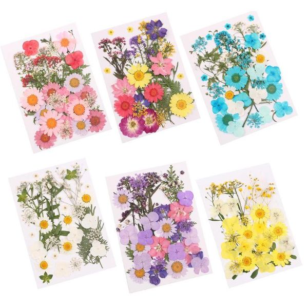 

decorative flowers & wreaths 1 bag natural pressed dried flower petals artificial diy nail craft phone case