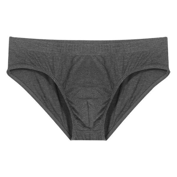 

underpants 2pcs/ lot men's underwear briefs modal fabric breathable solid color front crotch double layer men size -4xl, Black;white