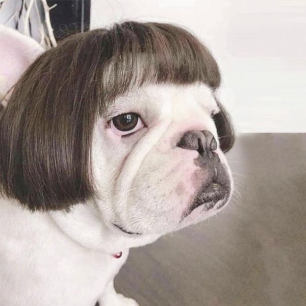 

pet wig set dog cosplay props headwear transforming apparel