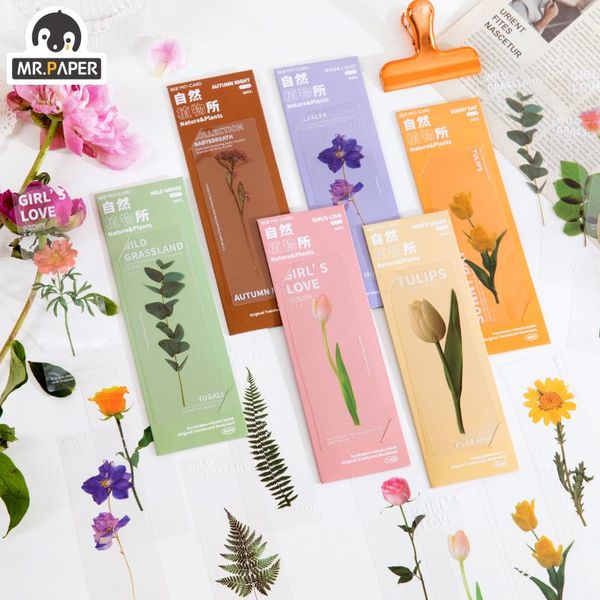 

bookmark mr paper 6 styles ins bookmarks natural plants collection diy decorative books mark page stationery student office supplies