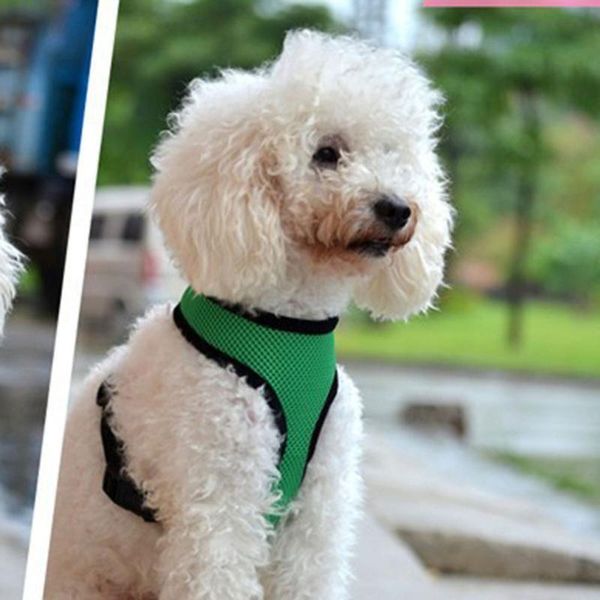 

dog collars & leashes pet adjustable oxford fabric chest harness jacket - size xl (green)