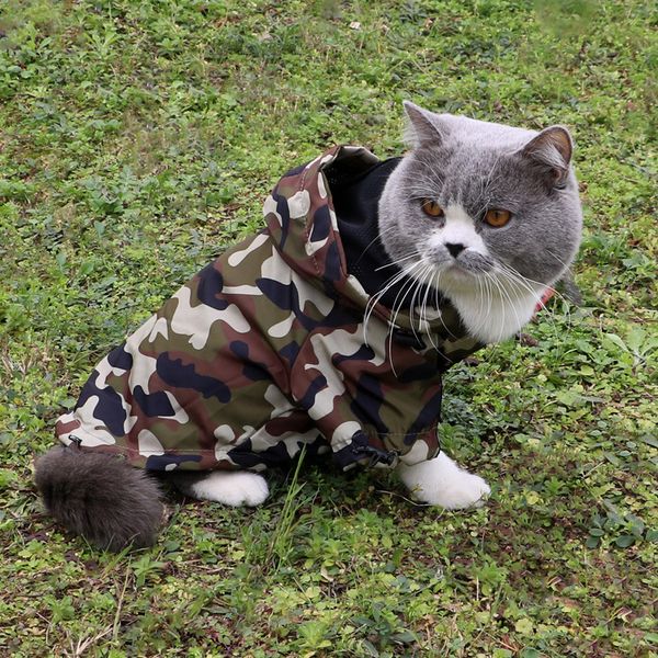 Cappotto antipioggia per animali domestici Giacca con cappuccio Abbigliamento per cani Maglietta riflettente per animali domestici stampata alla moda Vestiti estivi per cani