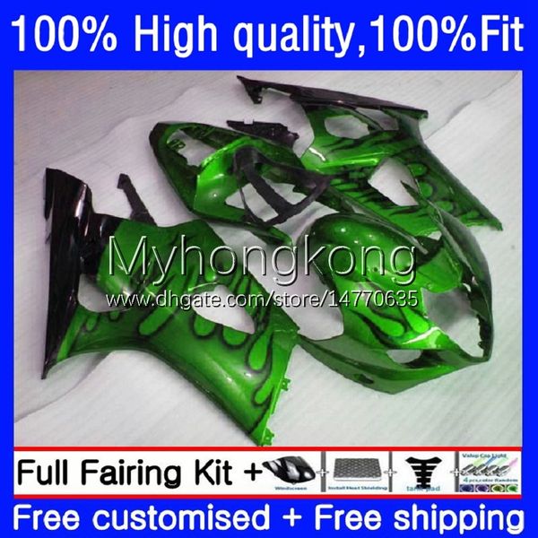 OEM ÓLEO PARA SUZUKI K3 GSXR 1000 CC C CC C CC 1000CC Molde de Injeção TRABALHO GREEN FLAMES 25NO.221 GSXR1000 GSXR-1000 03 04 GSXR1000CC 2003 2004 GSX-R1000 2003-2004 Feeding