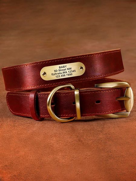 

pet traction rope cow leather tag lettering anti loss golden fur medium and large dog collar