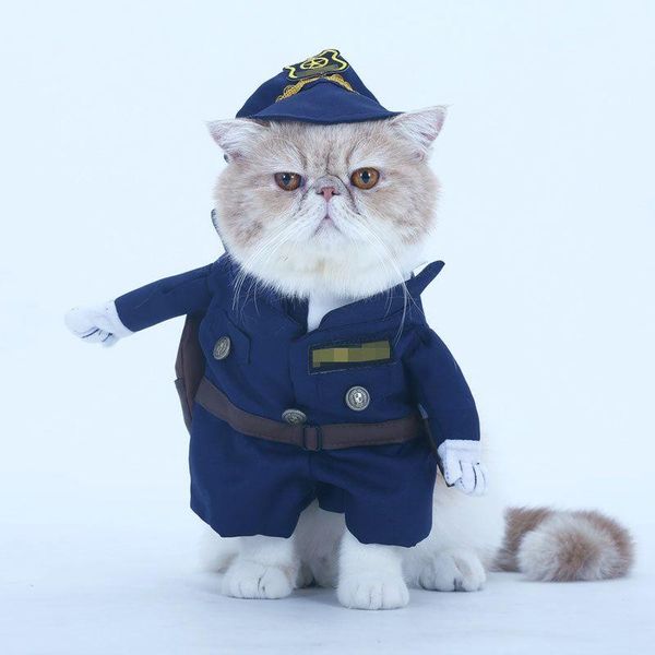 

dog apparel clothes cat pets upright