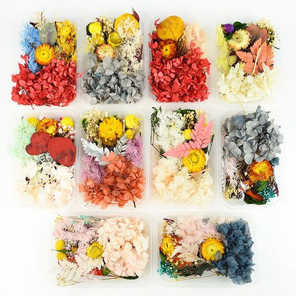 

box assorted real dried flower dry plants for candle epoxy resin pendant necklace jewelry craft diy accessories decorative flow flowers & wr