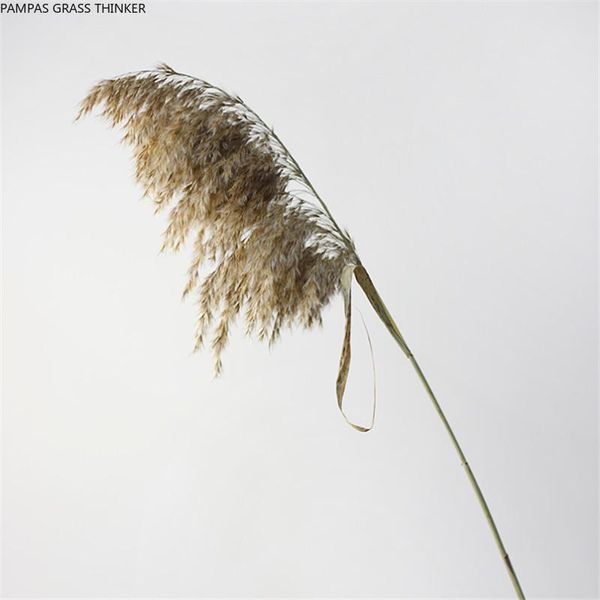 

decorative flowers & wreaths 20pcs wedding pampas grass bunch home decor dried flower window display pure natural reed