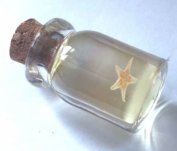 

12 pcs drifting bottle star fish glow in dark bottom, Black