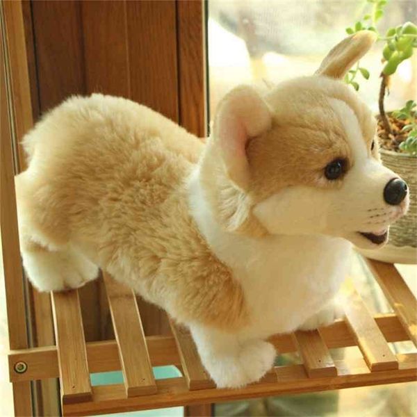 Simpatico peluche Simulazione Cane Bambole per bambini Corgi Peluche Animali morbidi Giocattoli per bambini Ragazze Regalo di compleanno Decorazioni per la casa Mascotte 210728