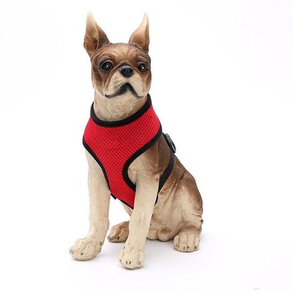

dog collars & leashes trend harness 2021 breathable mesh for a pet supplies fashion leash accessories