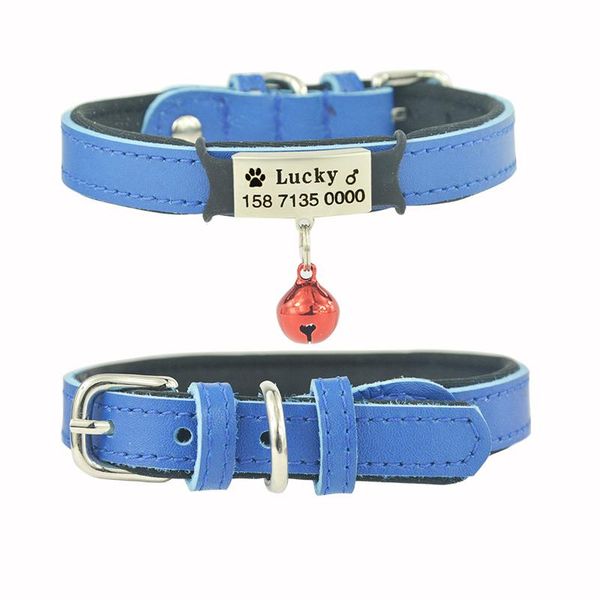 

dog collars & leashes engraved neck ring identity card