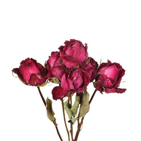 

dried flowers rose romantic bubble small fresh dry bouquet ins northern europe wind home furnishing decorate decorative & wreaths