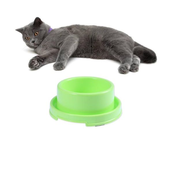 

dog bowls & feeders circle pet anti-ant feeding dishs for puppy and cat (green)
