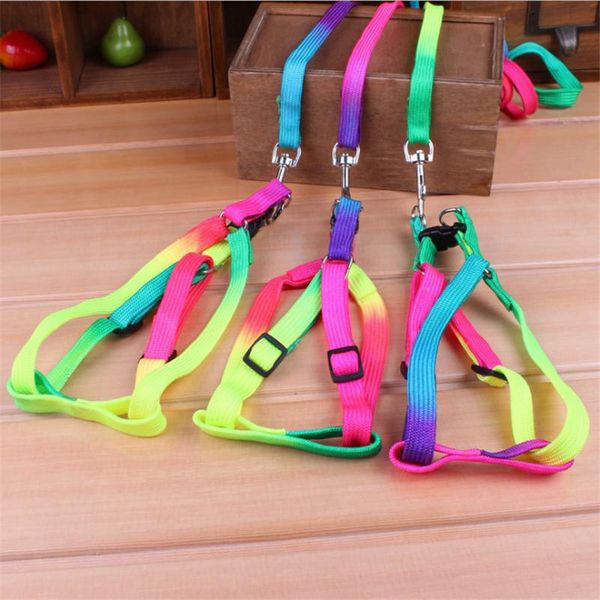 

colorful rainbow pet dog collar harness leash soft walking lead and durable traction rope nylon 120cm collars & leashes