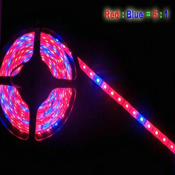 

strips led grow light 500meter dc12v 60leds/m