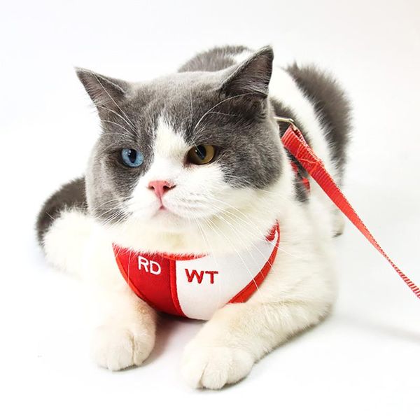 

dog collars & leashes nylon mesh puppy cat harnesses vest pet harness hand holding rope