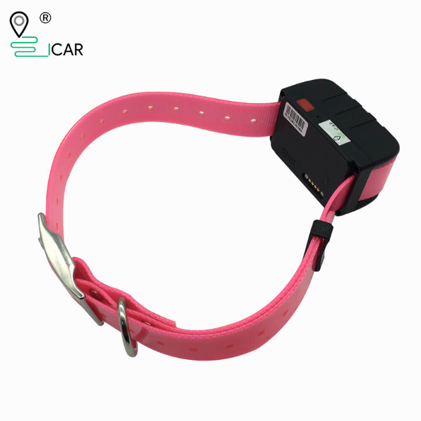 

car gps & accessories dogs pet mini tracker anti-lost collar tracking device voice monitor gsm gprs online website app