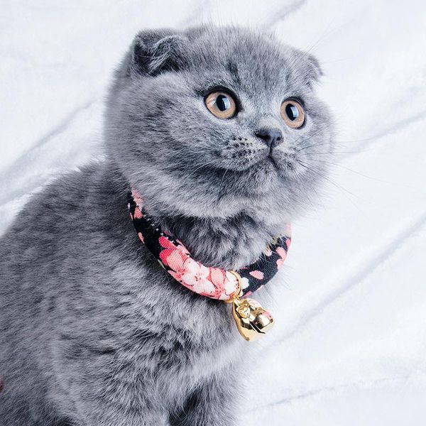 

cat costumes japanese style cartoon lucky flower print pet collars fashion accessories dog bell collar supplies
