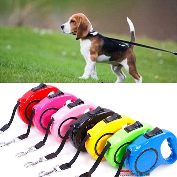 

dog collars & leashes 5m 3mpet cat puppy automatic retractable traction rope walking lead leash dogs extending