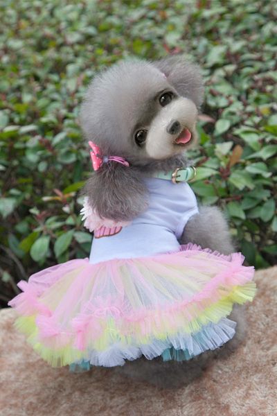 

dog apparel cute colorful cotton yarn pet dogs skirt dress by china post small puppy spring summer clothing