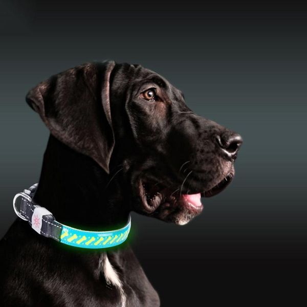 

dog collars & leashes adjustable usb rechargeable led luminescent leather pet collar puppy