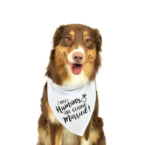 

dog wedding bandana married engagement pet triangle bibs scarf neckerchief po apparel