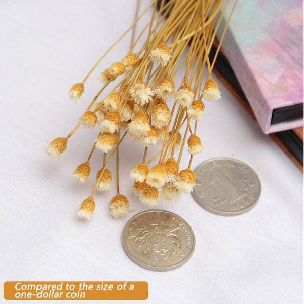 

decorative flowers & wreaths dried 9 colors artificial flower bedroom decoration natural simulation shooting props handmade