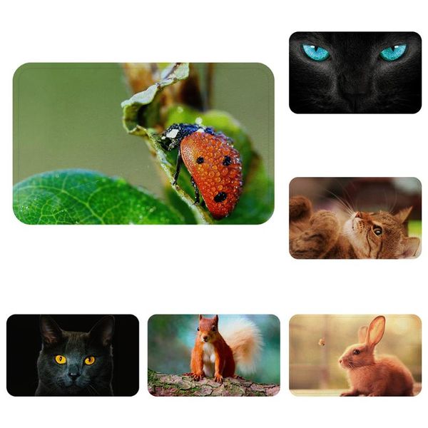 

cushion/decorative pillow cat squirrel ladybird art cool mat bath carpet decorative anti-slip mats room car floor bar rugs door home