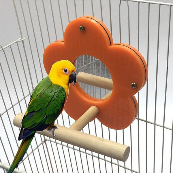 

other bird supplies parrot mirror standing stick perch rod