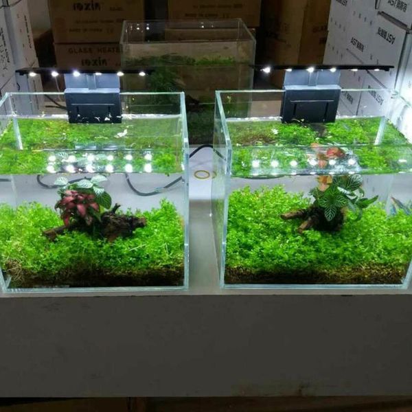 

aquariums lighting super slim leds aquarium aquatic plant light 12 bulbs led waterproof clip on lamp for fish tank accessories