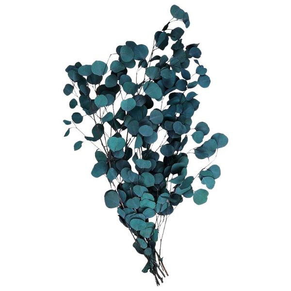 

decorative flowers & wreaths dried natural eucalyptus branches leaves flower bouquet decoration (blue)