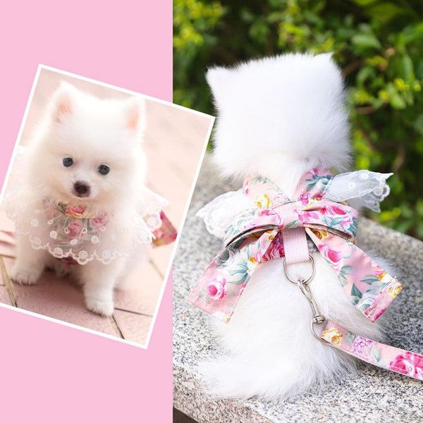 

pet supplies dog leash bowknot pink chest strap collars & leashes