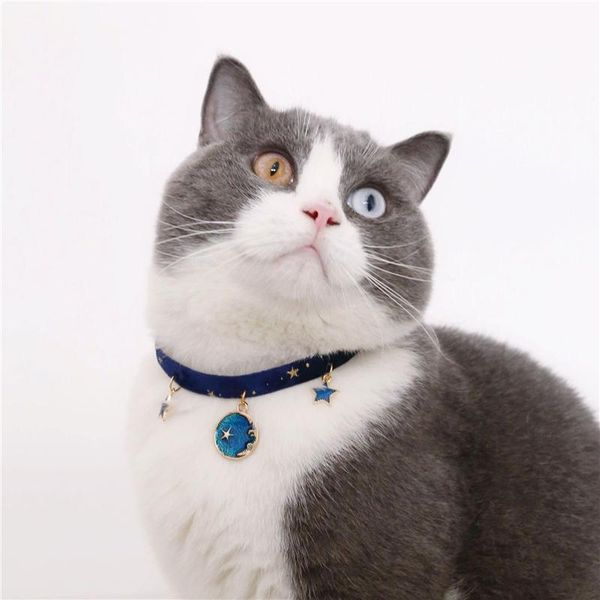 Cat Hollars ведет домашние животные принадлежности Аксессуары бархатные Бронзовые звезды Регулируемое ожерелье для кошек щенок Рыбин / снежинка / звездное небо воротник C