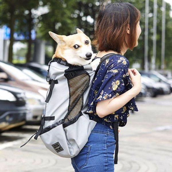 

backpack adjustable hands-front facing dog carrier