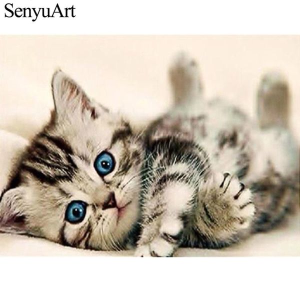 

diamond painting 5d diy crystal rhinestone full drill kits diamant paiting art accessories animal cat picture embroidery mosaic