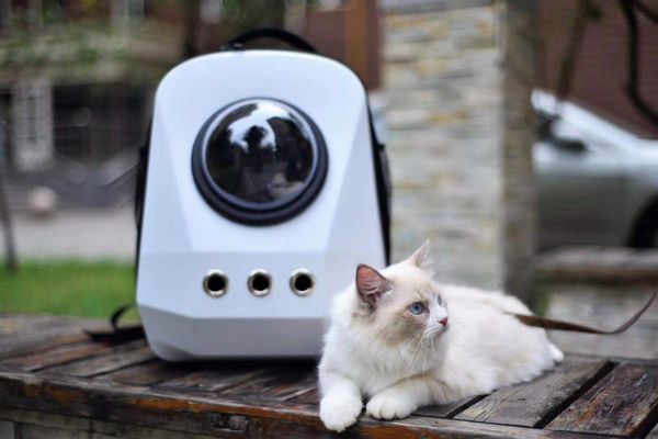 

pet going out backpack carrying bag cat dog space car seat covers