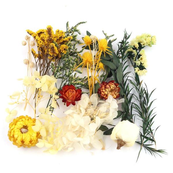 

decorative flowers & wreaths 2021 1 box real dried flower plants natural immortal po frame making craft diy accessories home decoration