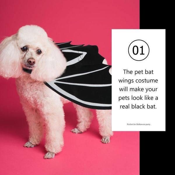 

cat costumes 1pc bat dress accessories pet costume outfit