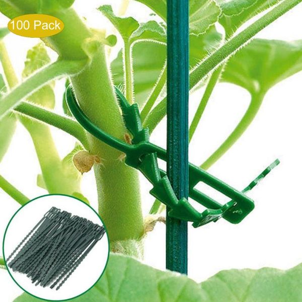 

planters & pots 50/100/200pcs adjustable plastic plant cable ties reusable greenhouse grow kits for garden tree climbing support