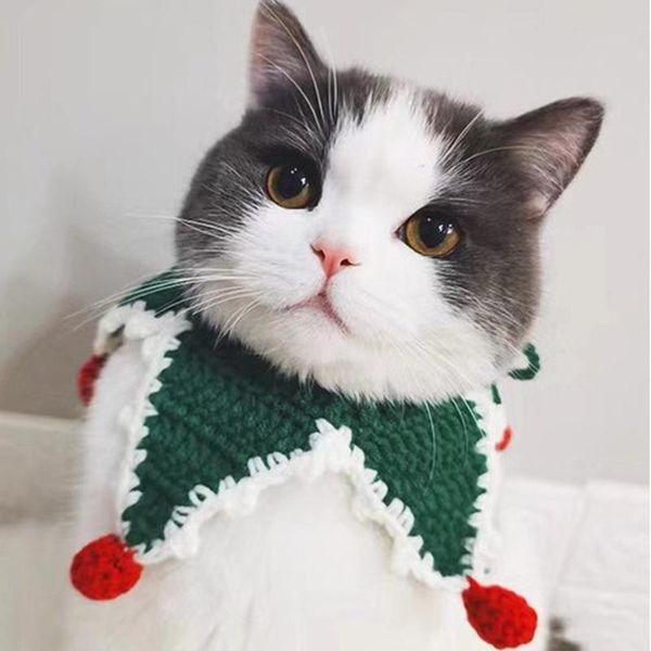 

cat costumes adorable accessories for christmas sweet dog collar with bell pet scarf kittens cute kitty puppy necklace yorkie chihuahua