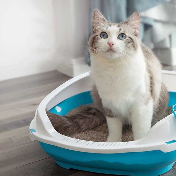 

pet litter basin semi closed toilet two ears to carry shovel cat grooming