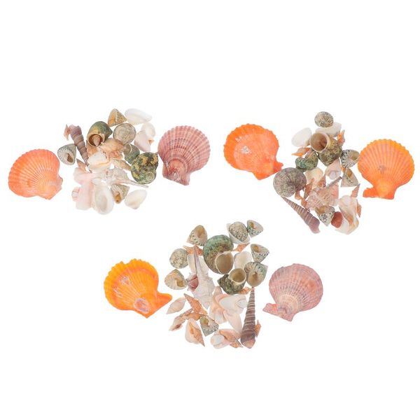 

decorations 3 bags natural scallop shell fish tank decor aquarium conch landscaping