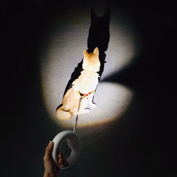 

with led light 360 degree rotation outdoor walking one handed portable ring style rechargeable retractable dog leash collars & leashes
