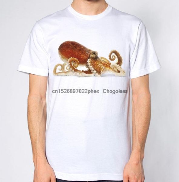 

men's t-shirts ocs t-shirt, White;black