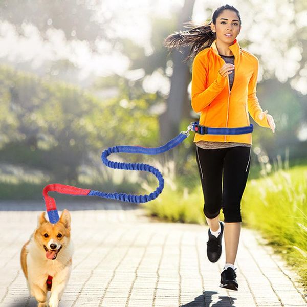 

dog collars & leashes elastic waist leash lead with reflective strip running jogging sports training retractable hands rope